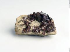 Foto von Axinit (NHMW-MIN-Ag920)
